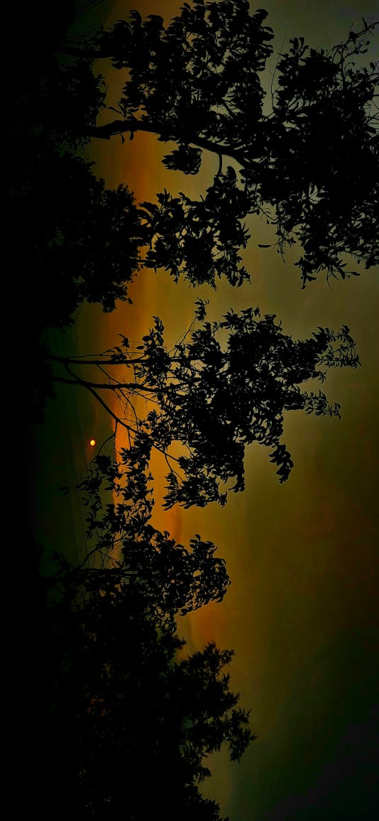 675282146cfe0_WhatsApp Image 2024-12-06 at 10.09.31_47a3b144.jpg